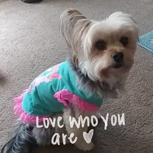 Meet your Posher, Kim